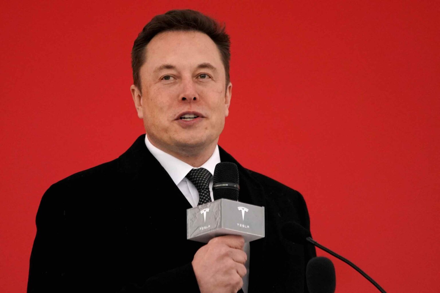 Some people admire him, others find him despicable, but who's Elon Musk? Here's all you need to know about this internationally known businessman.