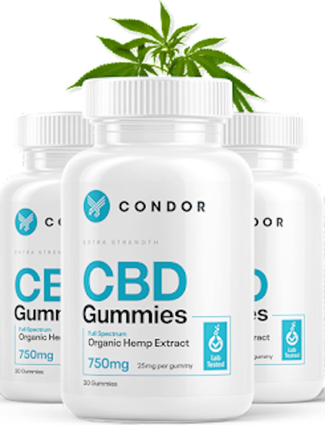 Everyone wants CBD gummies these days, and Condor has some of the best on the market. Here's our honest review of these CBD gummies.