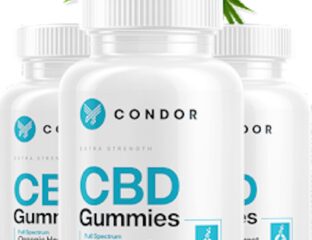 Everyone wants CBD gummies these days, and Condor has some of the best on the market. Here's our honest review of these CBD gummies.