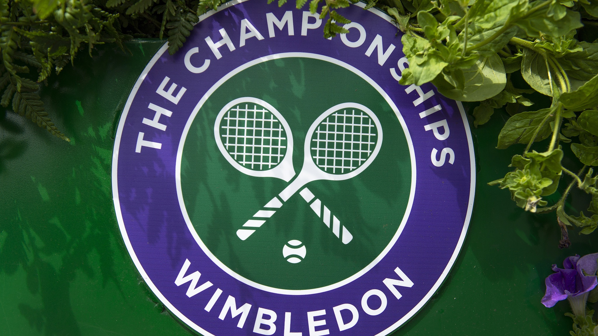 TennisStreams!) Wimbledon tennis 2022 Live Streaming Free on Reddit, Twitch and Crackstreams