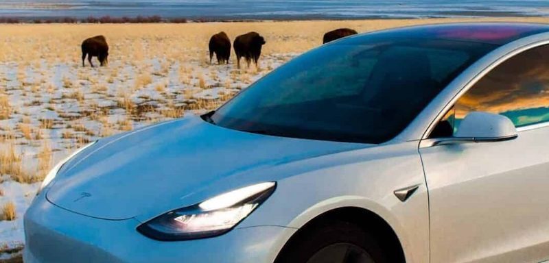 Many people believe that driving electric is the future, yet not everyone is convinced. Here's a list of reasons to drive electric.