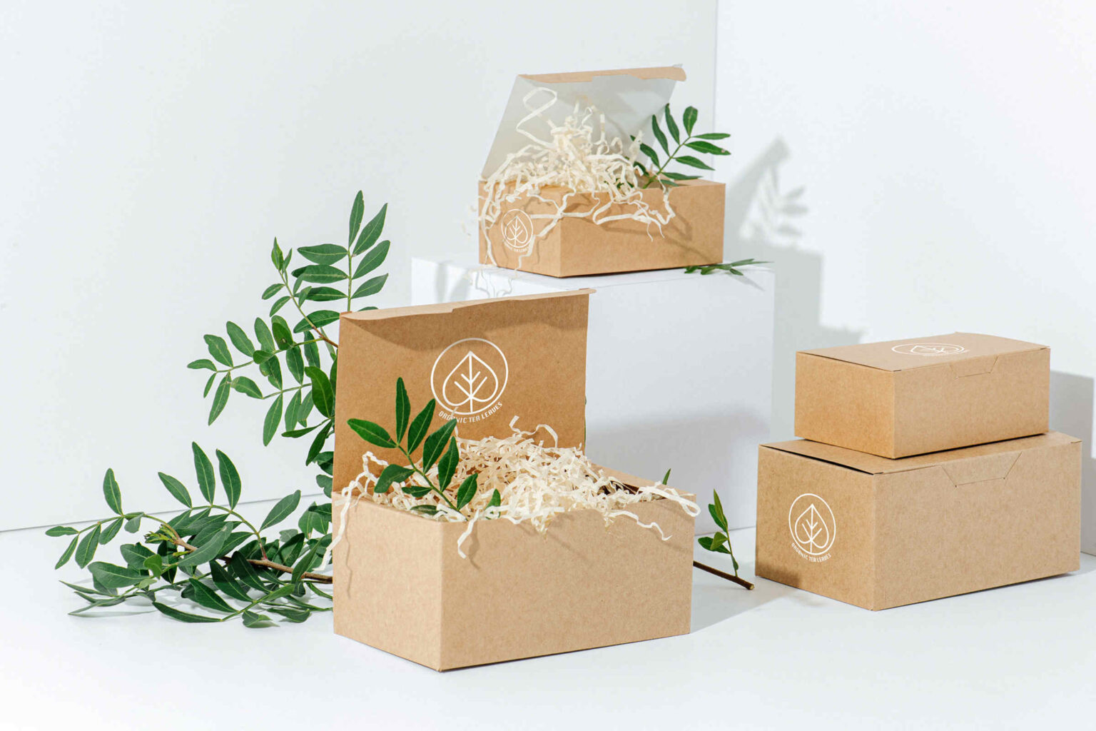 Think of the Earth when running your business and start taking these environment conscious steps toward eco-friendly packaging!
