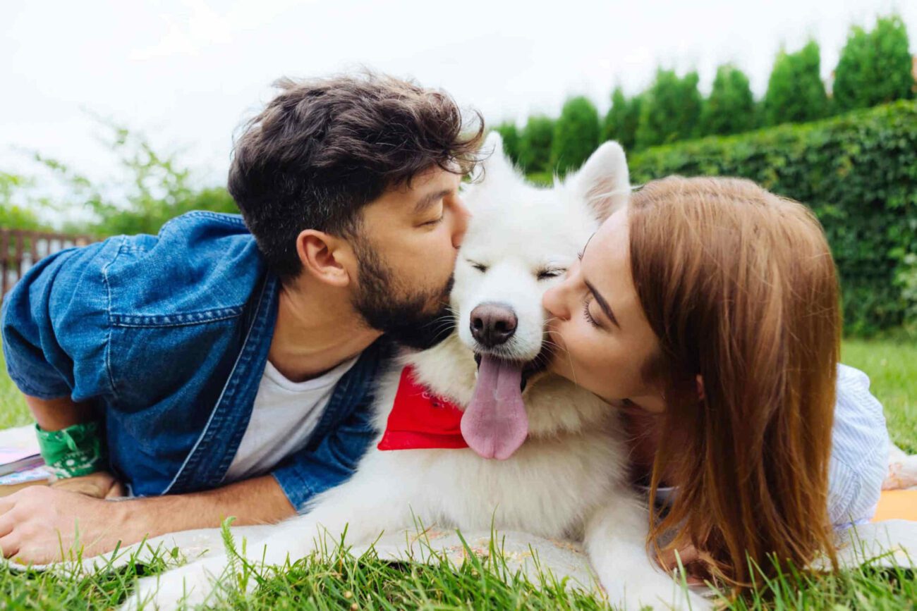 Becoming a new dog parent can be scary, but it doesn't have to be. Bark your way into the tricks of taking care of your fur baby!
