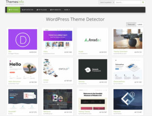 Need a little help building your business? Design a website using the Themesinfo WordPress Theme Detector and watch the money make itself!