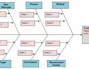 Pareto principle