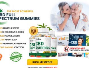 Choice CBD gummies are typically made by infusing CBD oil into a gummy candy base. Here's everything you need to know.