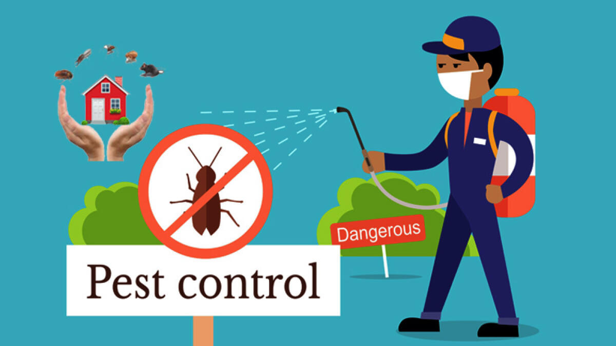 pest control Dubai