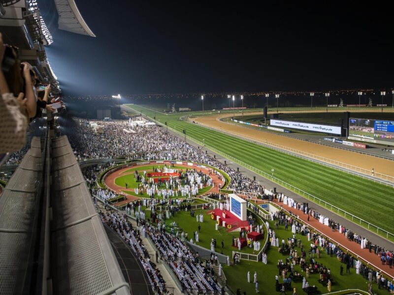 US-trained thoroughbred Country Grammer caused an upset in 2022 when he landed the Dubai World Cup. Here's why.