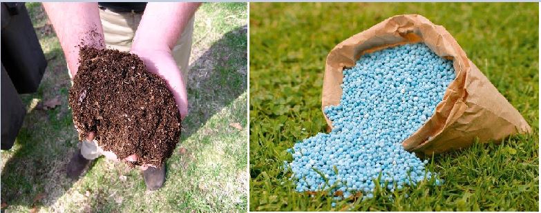 What is the Difference Between NPK Fertiliser and Manure