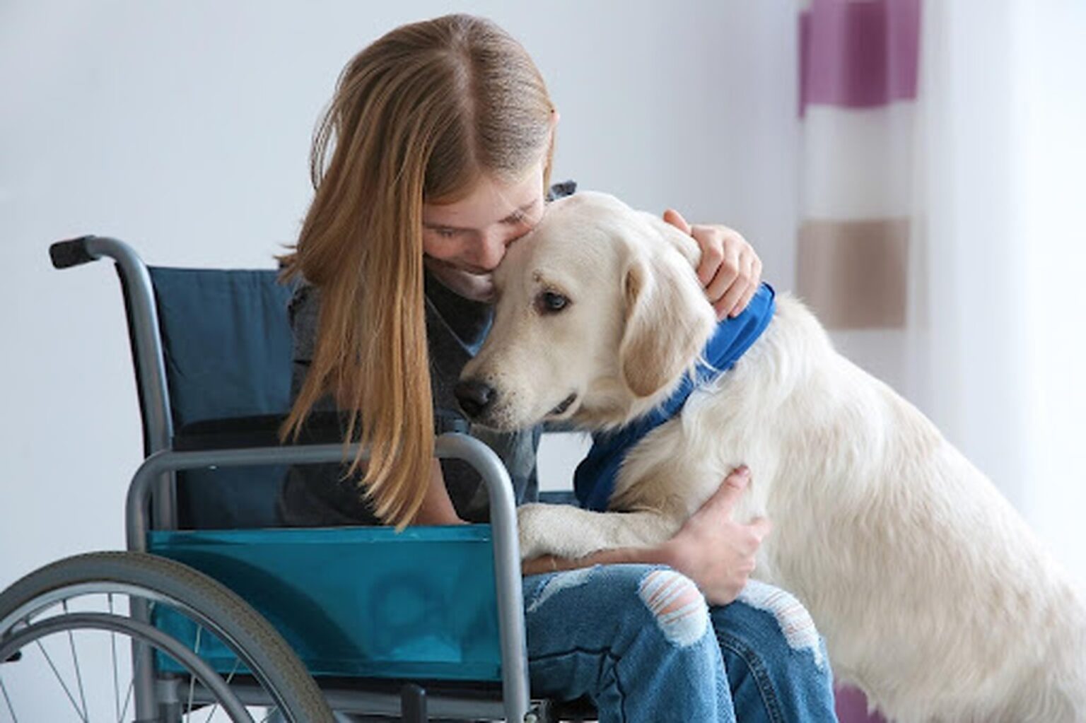 Service dogs help millions of people carry out daily tasks and manage their mental health. Here, we take you through the most inspiring movies about them.