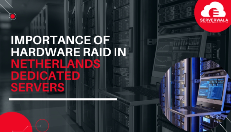 Importance of Hardware RAID in Netherlands Dedicated Servers – Film Daily