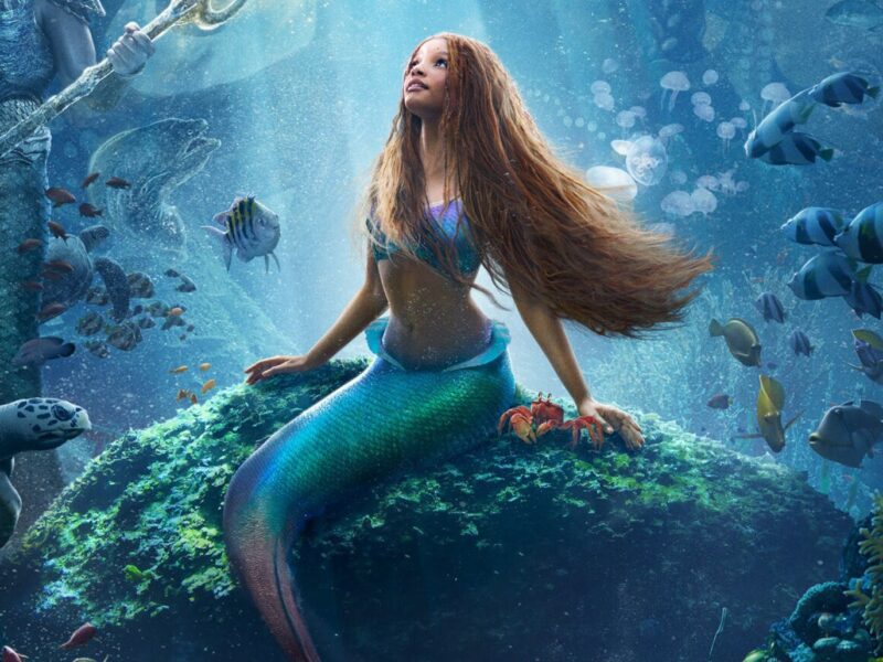 What kind of world would we be a part of without Ariel coming out of the sea? Take a deep dive into the lyrics behind the iconic Disney song Under The Sea!