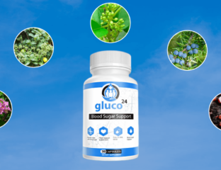 Gluco24 Buy Online- Healthy Blood Sugar Support Supplement That Works?