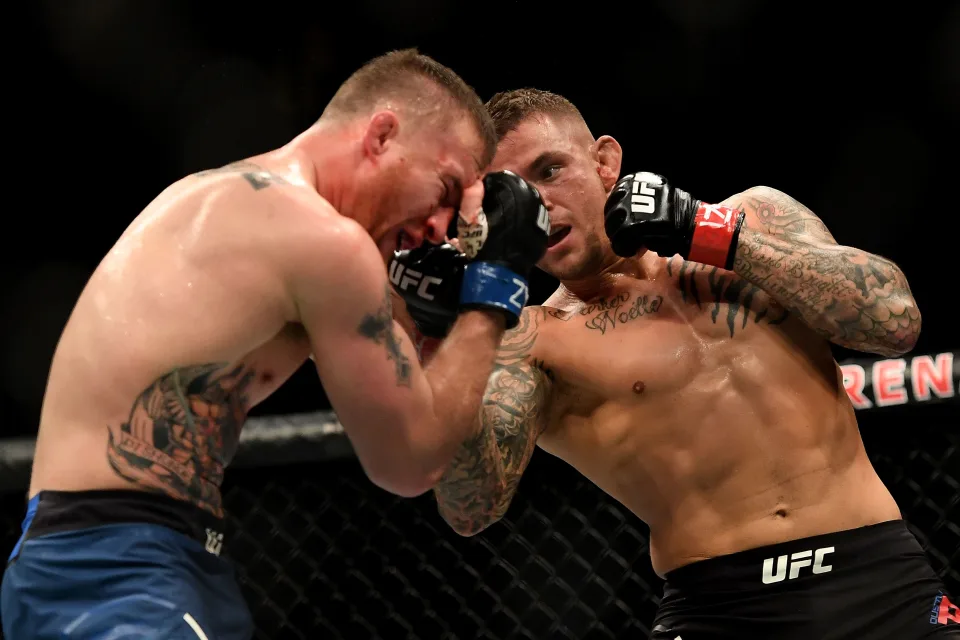 Where To Watch To Watch 'UFC 291' (Free) Live Streaming Online On Reddit –  Film Daily