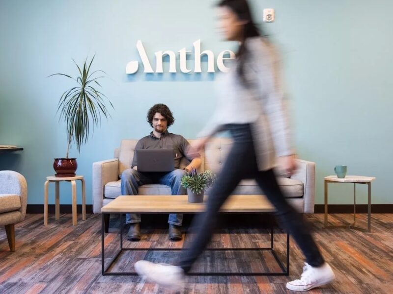 Discover how Antheia Services Company is revolutionizing E-commerce and Social Networking Platforms in this insightful review article. A new era awaits!