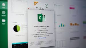 Unlocking the Power of Excel: Understanding the Role of an Excel Consultant