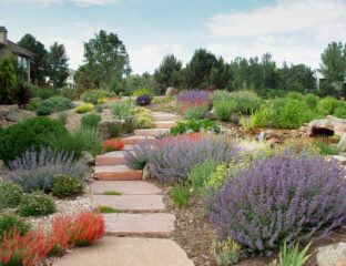 Welcome to the world of xeriscaping! If you're wondering what on earth that word means, you've come to the right place.