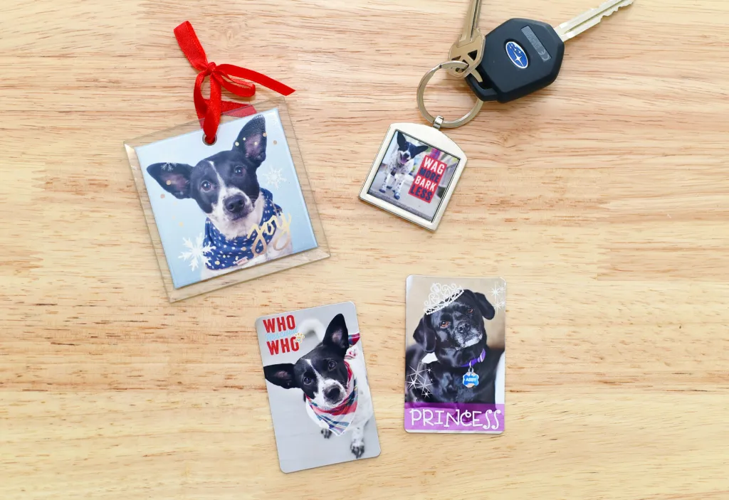 Pet Keychains and Canvas Portraits