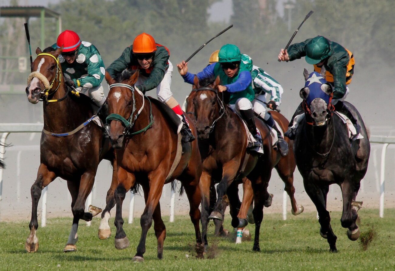 When you're ready to up your game in horse betting, understanding more complex bet types is a crucial step. Here's what you need to know.