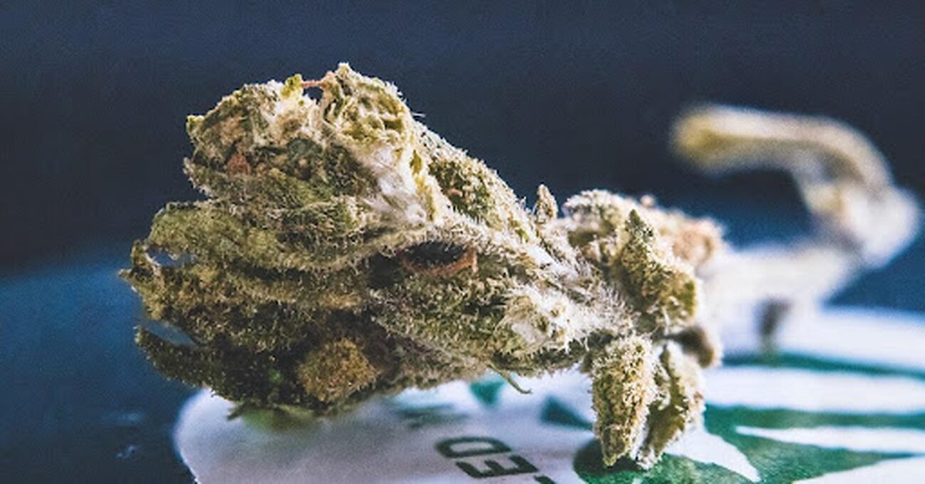 The emergence of delta-11 THC in the cannabis landscape offers a range of effects and benefits, and here's all you need to know.