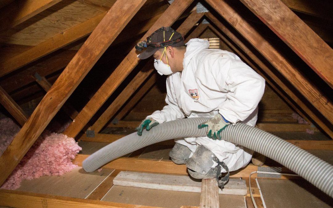 Cleaning Your Attic