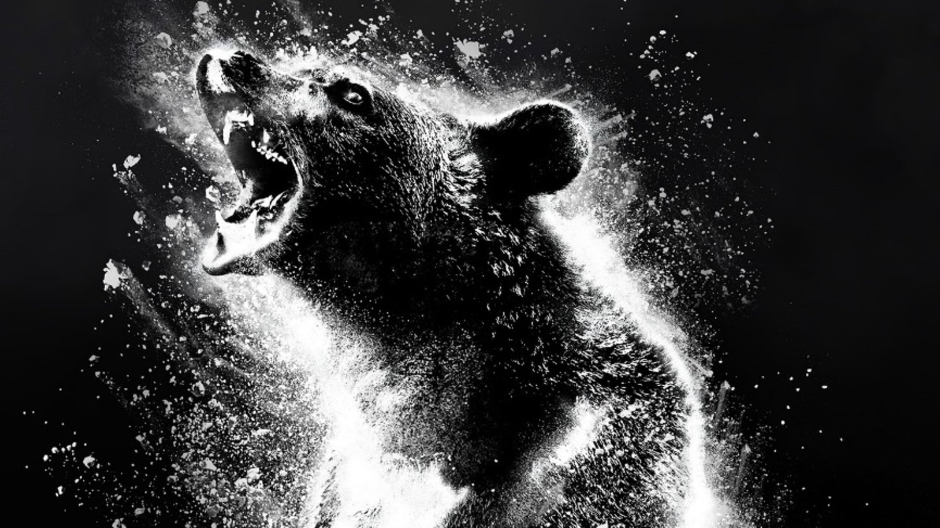 'Cocaine Bear' – watch online for free !