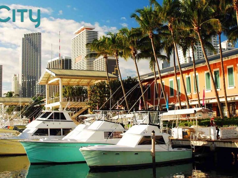 Going to Miami? Best Attractions Revealed!