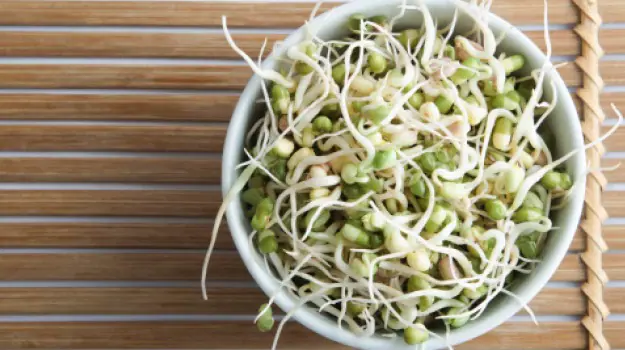 Sprouts and their Health Advantages