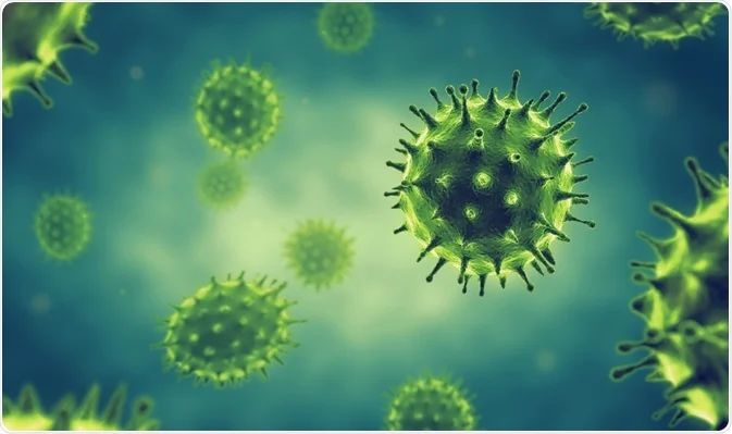 Viruses vs. Bacteria