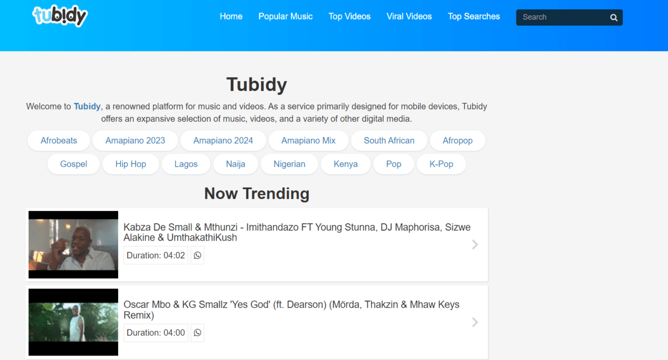 Tubidy Review