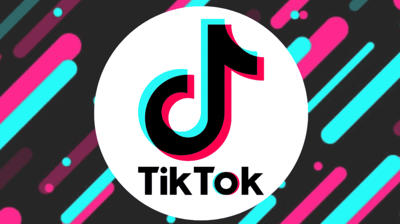 TikTok Video Downloader