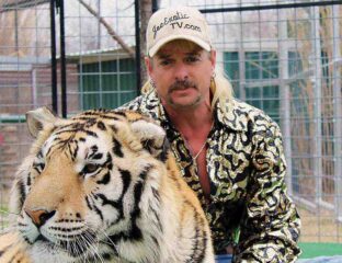 Pondering Joe Exotic's next wild circus act? Does his potential early release coincide with another audacious joe exotic presidential election bid? Dive into this rousing mix of true crime, reality TV, and political spectacle!
