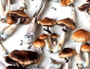 Before your shrooms delivery arrives, let's delve deeper into what microdosing is all about and how it can potentially benefit you.