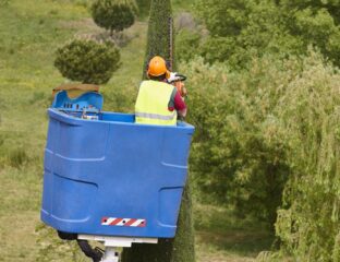 Tree Cutting Service