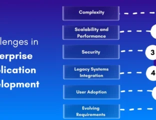 Enterprise Application Development Platforms