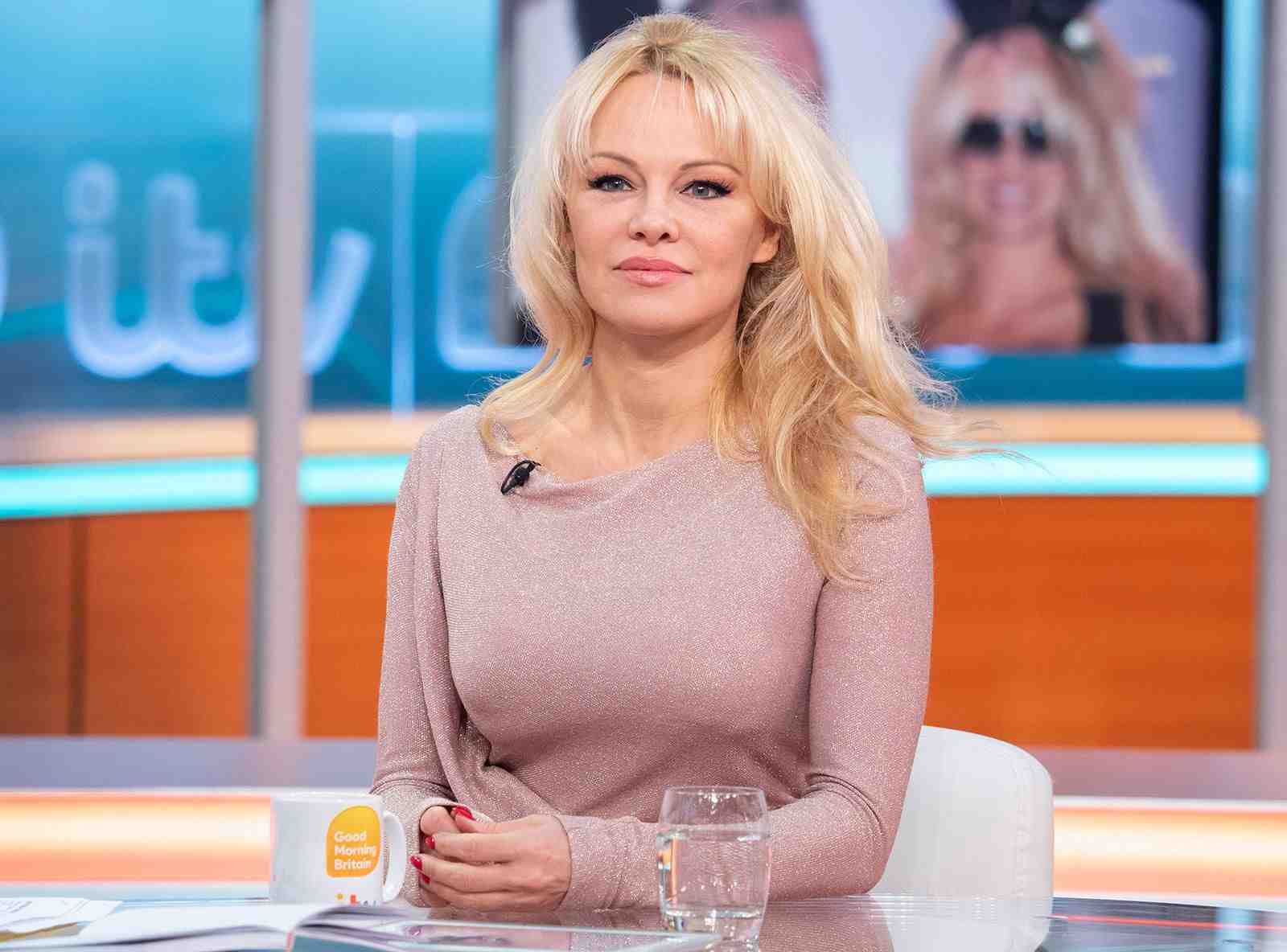 Unmask Pamela Anderson's net worth shocker! Glitter, glamour, and beach sands might blur the sober reality of an icon's pocketbook. Prep for a fiscal deep dive!