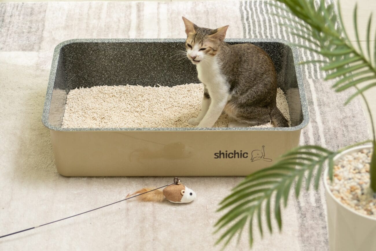 Shichic is for people who understand that as cat owners, it’s our solemn duty to provide them with a fulfilling catified environment.