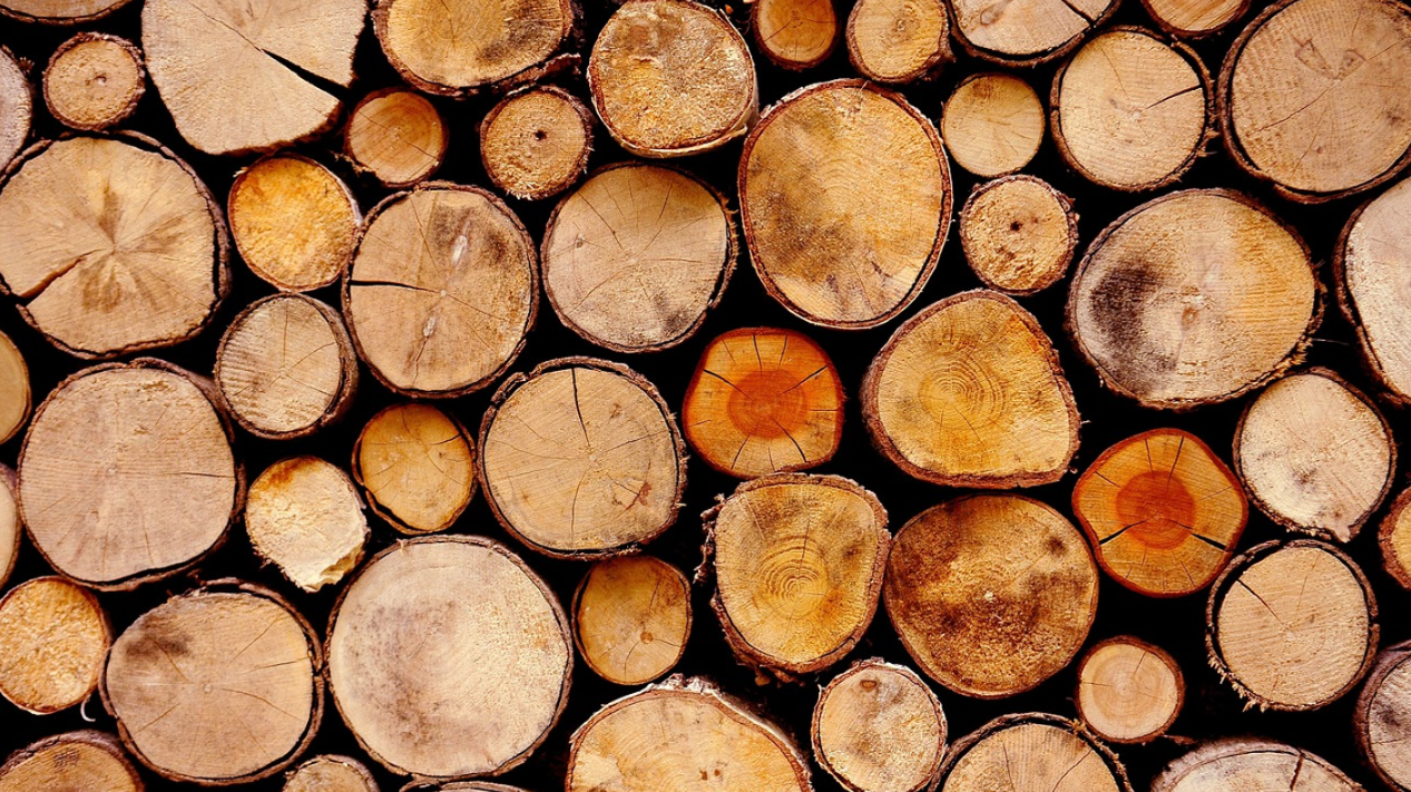Best Wood Logs for you Fire