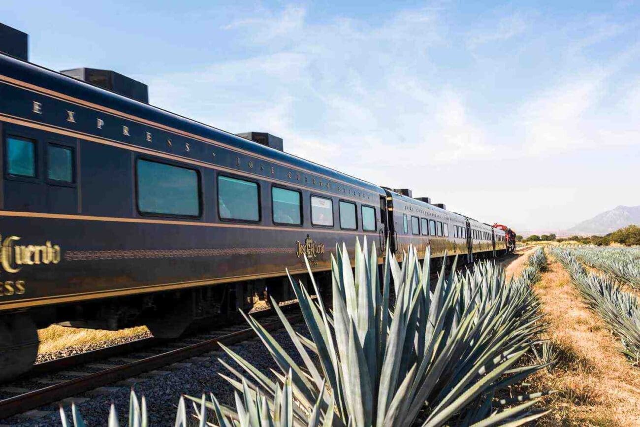 Discover why Jose Cuervo tequila's hometown, Tequila, Mexico, needs to be your next adventure! Indulge in rich history, tequila tours, scenic rides, and Insta-worthy spots! 🌵🍹😎