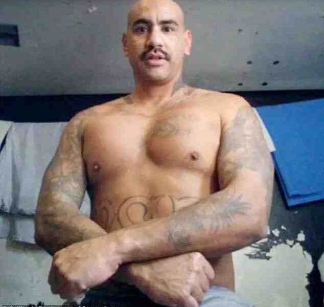 In a dramatic twist fit for cinema, notorious drug lord Ezequiel "Wicked" Romo was stabbed to death by inmates. Discover the chilling details of his violent end behind bars.